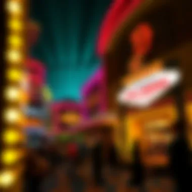 Exploring the D Las Vegas Shows Summary