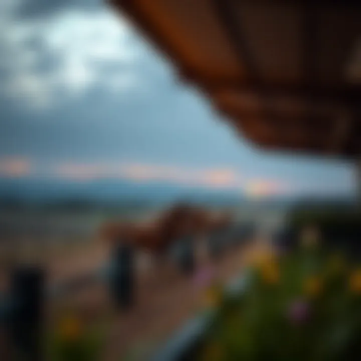 A panoramic view of horse breeding facilities set against a serene landscape